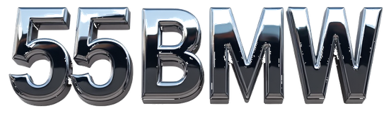 55bmw logo